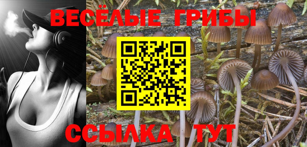 Галлюциногенные грибы Psilocybe  закладки  Каспийск  Галлюциногенные грибы GOLDEN TEACHER  Вход с VPN 